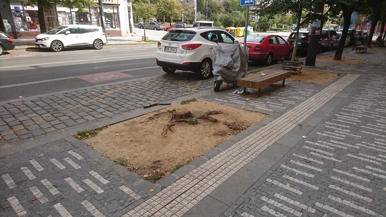 Chybějící strom