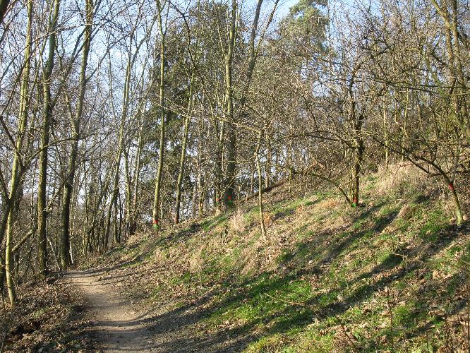 Cyklostezka Křeslice-Průhonice