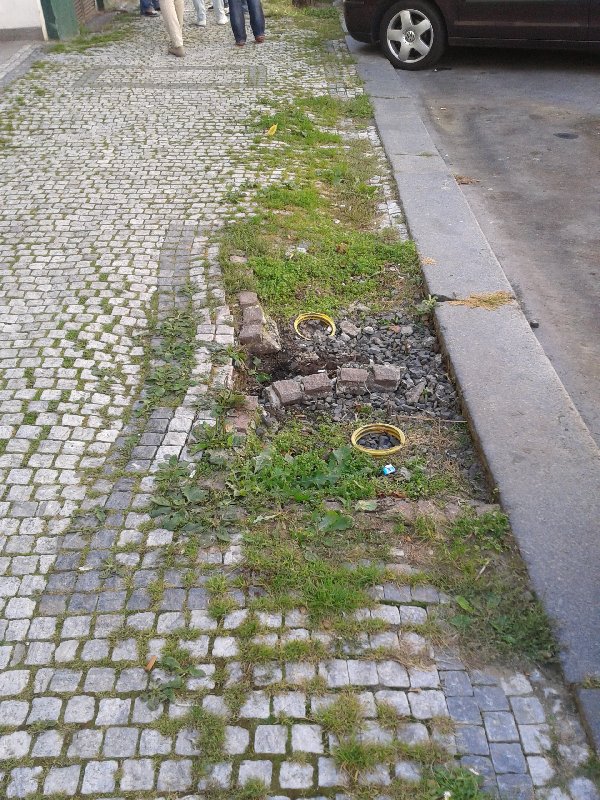 Výmlat na chodníku a rabátko ve Vlkově