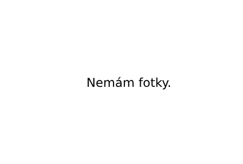 Přechod přes magistrálu na Muzeu kapacitně nestačí
