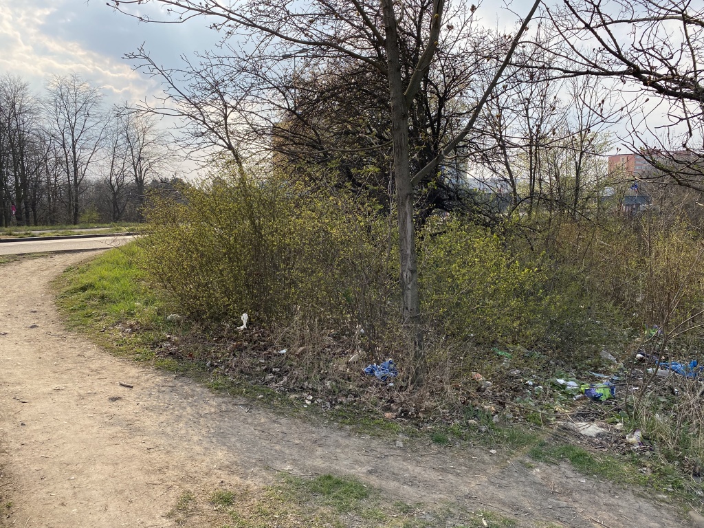 Nepořádek kolem Polikliniky Prosek (za RZS stanicí)