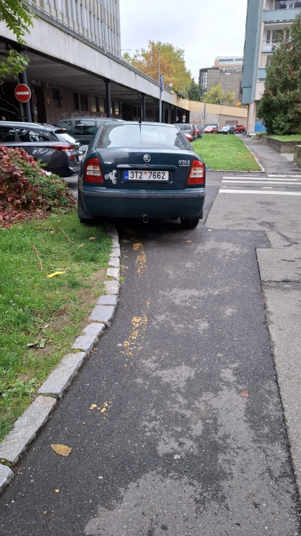 Parkovani na zeleni a zlute care
