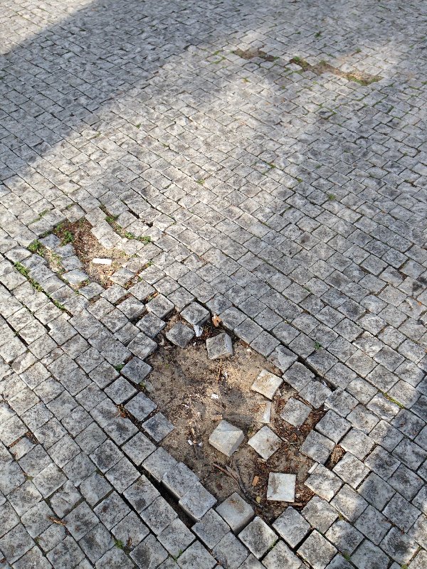 Vysypaná dlažba před hlavním vchodem do Pražské tržnice