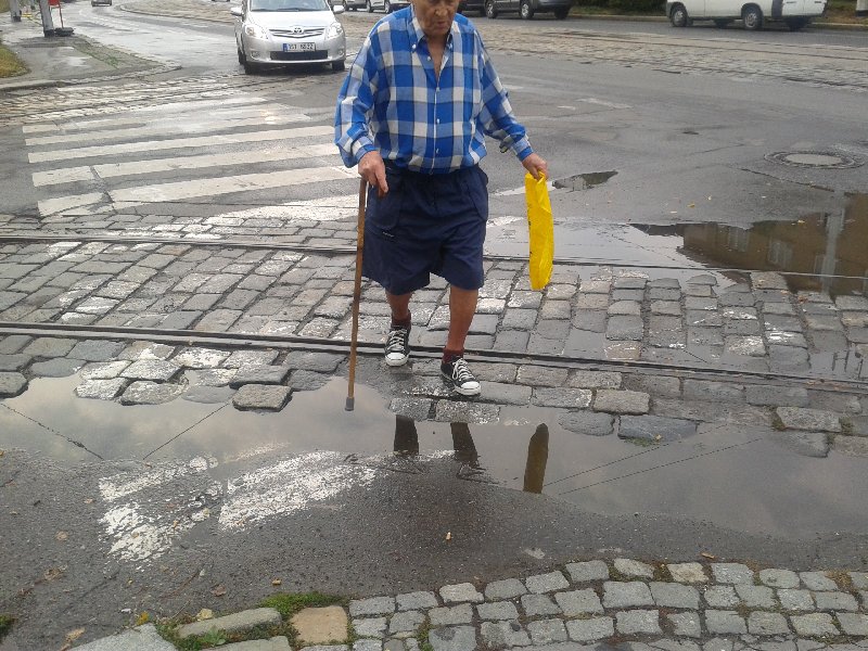 Laguna na přechodu a džungle na chodníku