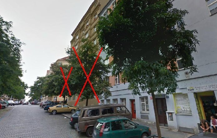Dosadba stromů po kácení