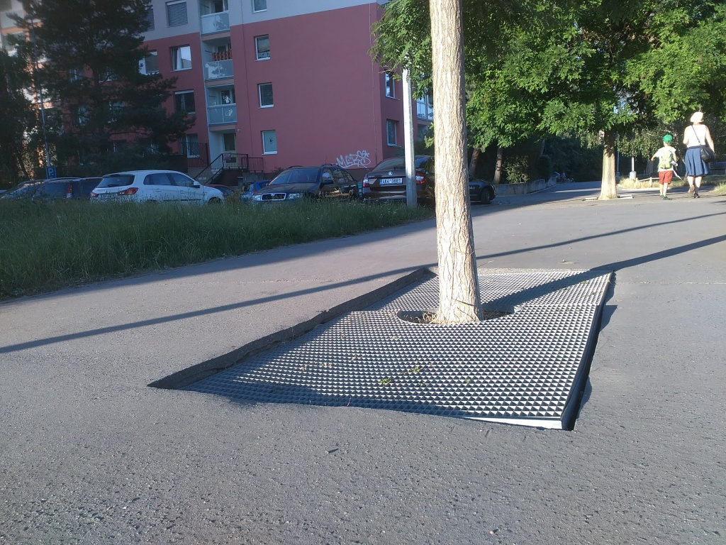 Rozbité mříže okolo stromů na promenádě na Veronském náměstí