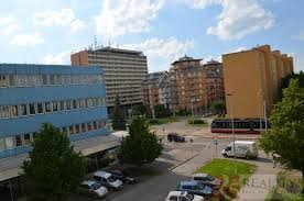 Obnovení zebry - Petřiny, křižovatka Bubeníčkova x Na Petřinách