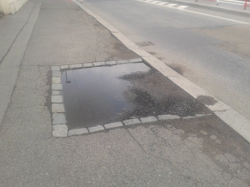 Zatopené rabátko na Vinohradské