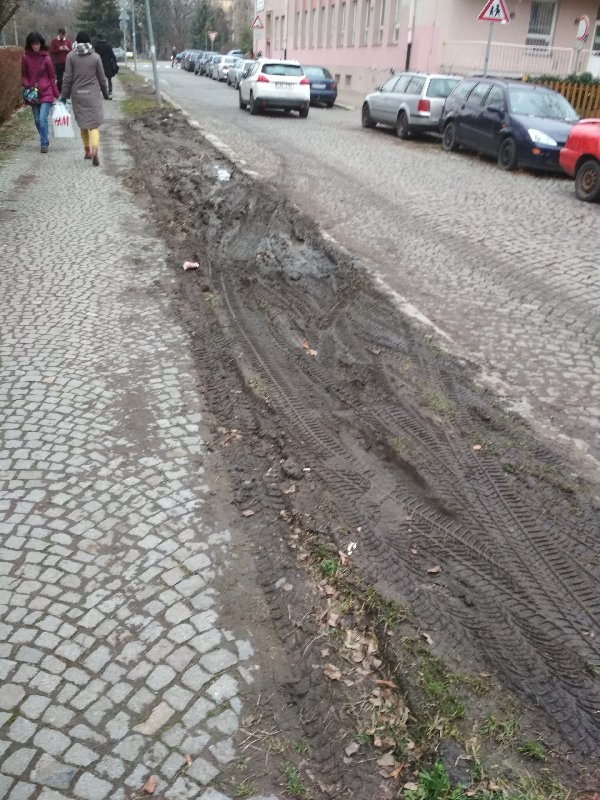 Rozježděný trávník podél chodníku v ulici Omská