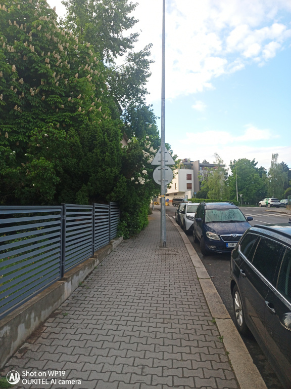 Chodník zarostlý křovím Střížkov