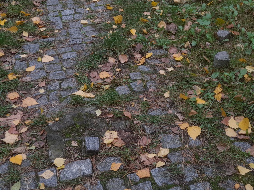 Poškozený chodník. Pha 10, od Nosická 28 k V Olšinách 120