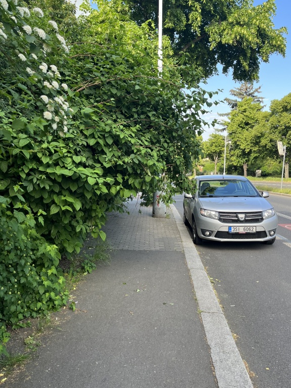 Ostříhání keřů