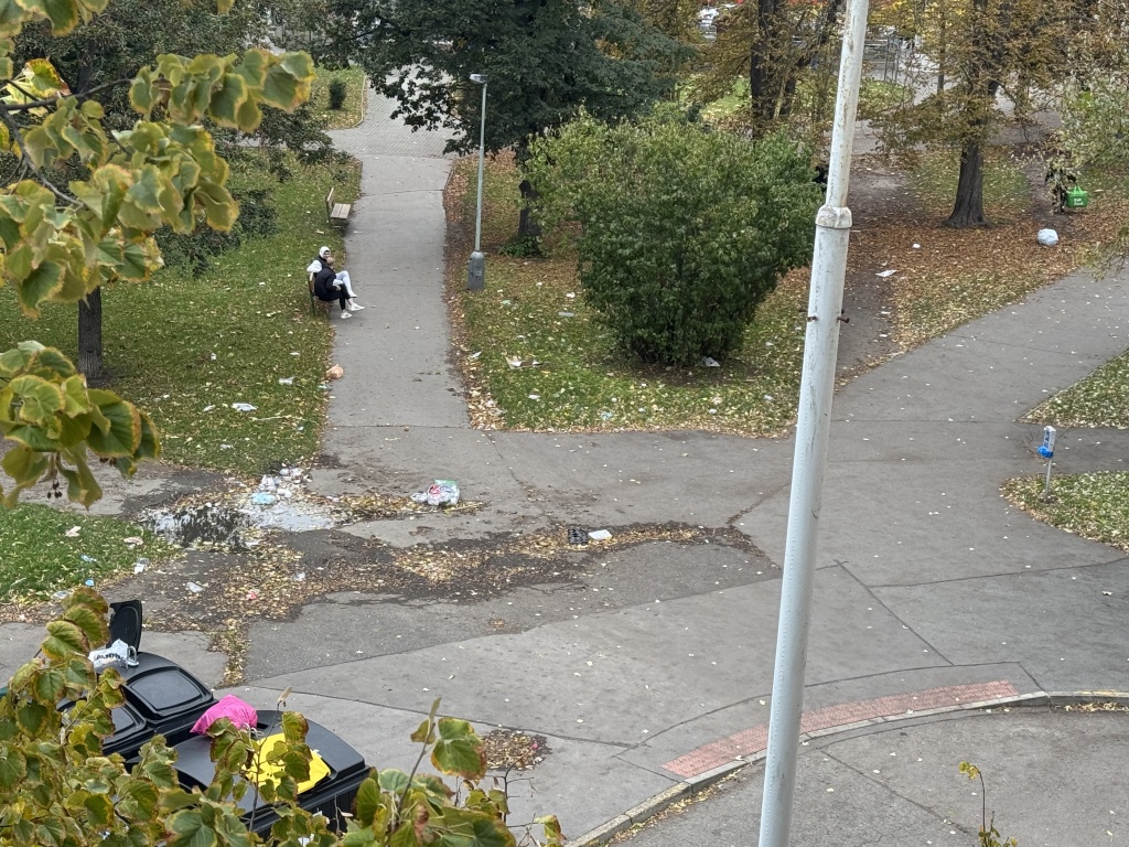 Nepořádek Nám. OSN