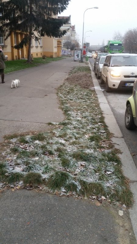 Neupravené zelené pásy v ulici Novovysočanská
