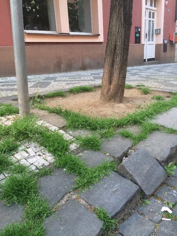 Couhajici kostky u prechodu na ulici Jana Masaryka