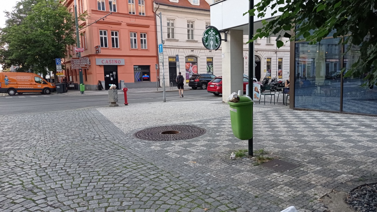 Chybějící strom ve stromořadí v ulici Thámova