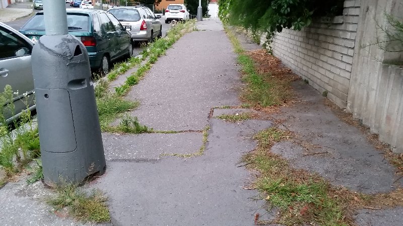 Plevel a neposekaná tráva kolem chodníků a silnic