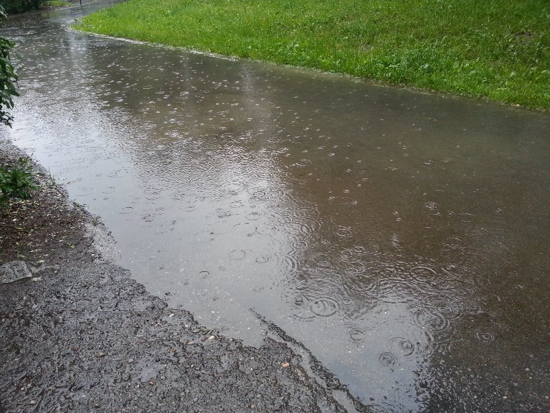 Chodník ve Vyžlovské ulici