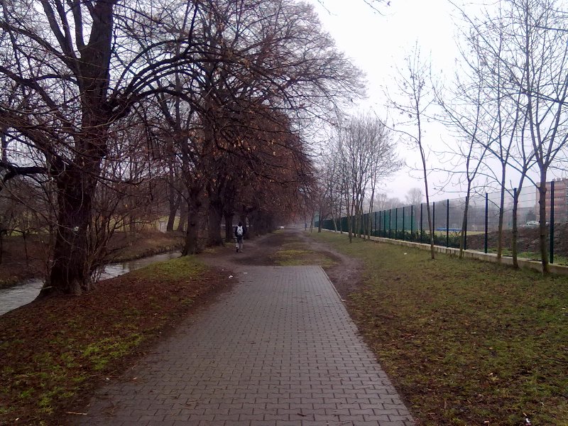 Rozbahněný úsek cesty