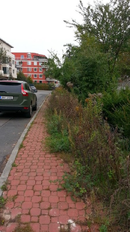 Zarostlý chodník v ulici U Kříže