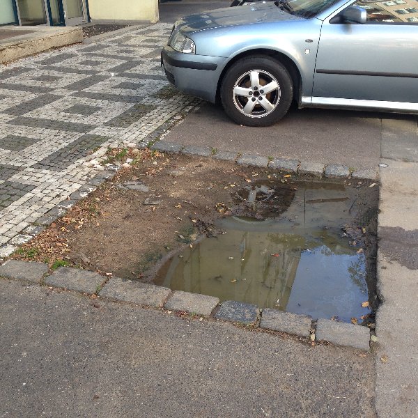 Bažina v Lucemburské