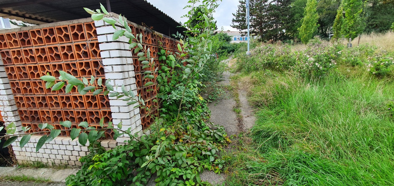 Prales na chodníku