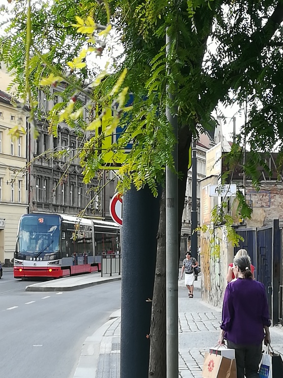 Dopravní značení v ulici Na Slupi – značka není vidět