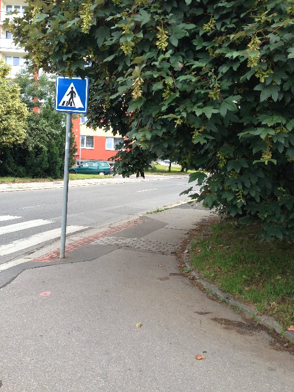 Strom přerůstající do chodníku