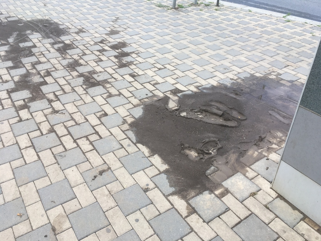 Blátivá stezka u schodů poblíž metra Prosek, Praha 9