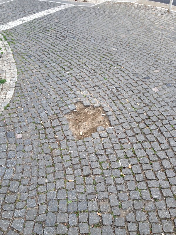 Díra v chodníku na rohu Vinohradské a Jičínské