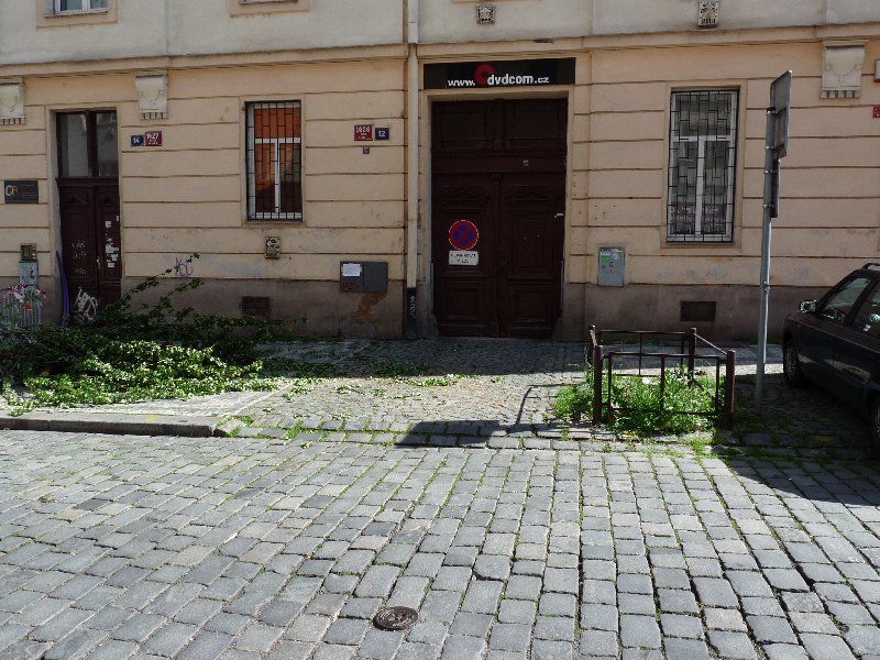 Pokácení stromu v ulici V Horkách a jeho náhrada