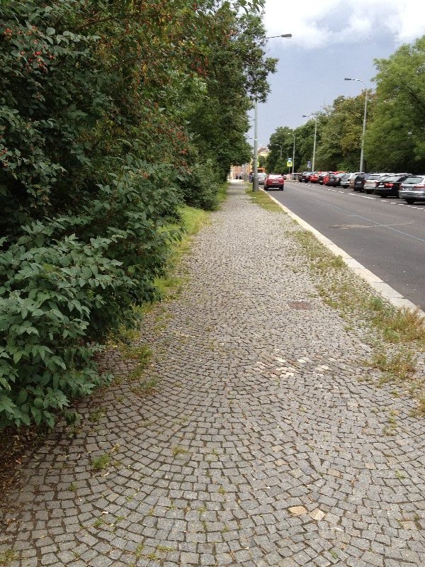 Zarůstající chodník, neupravená zeleň ohraničující dětské hřiště