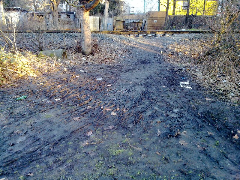 Rozbahněný přechod Malešickým lesem směrem ke Spojovací ulici