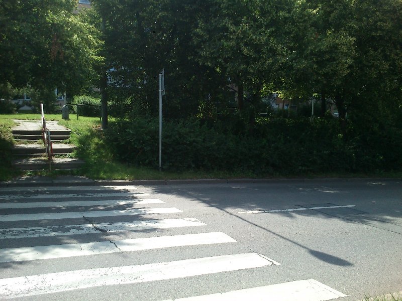 Přerostlá zeleň před přechodem