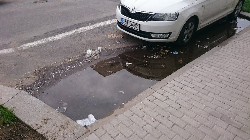 Trvalá louže v ulicí V Zahradkách