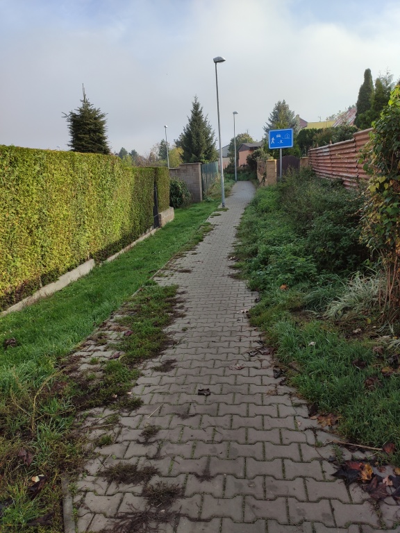 Odplevelení chodníku 