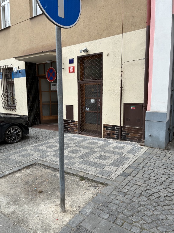 Chybí stromy ve stromořadí na ulici Belgická, Praha 2