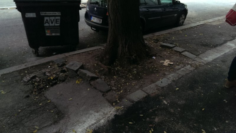 Rabátko v žalostném stavu a strom bránící pouličnímu osvětlení.