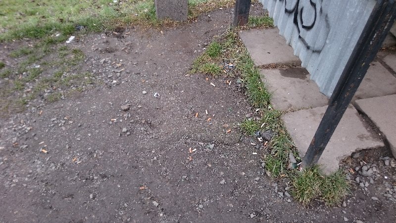 Rozbity chodnik u zastavky Malesicka