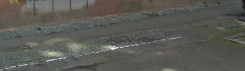 Dovýsadba stromů v ulici Slavíkova + předláždění