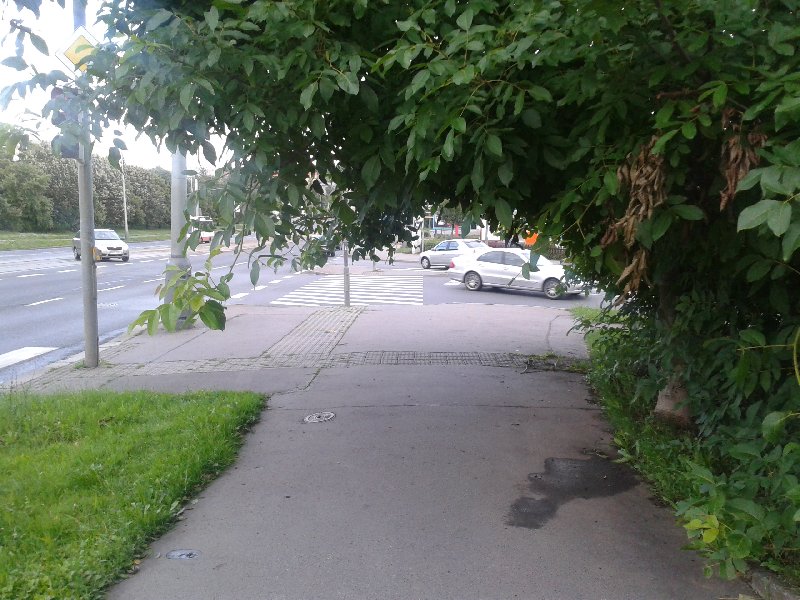 Přerůstající vegetace do chodníku na křižovatce - Hostivař