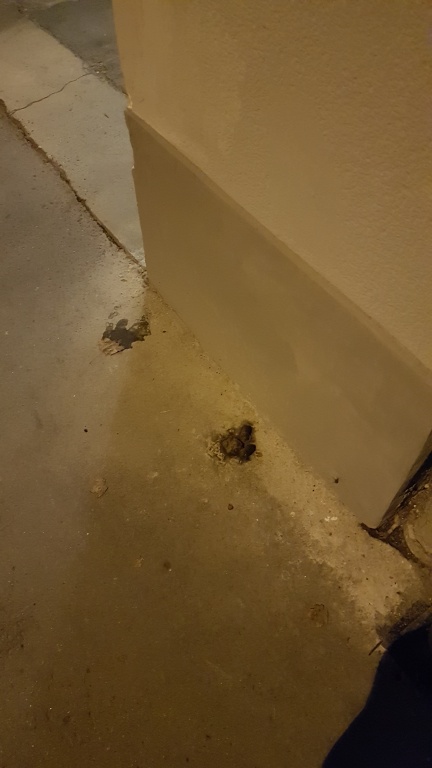 Špinavý chodník před domem Havanská 833/9