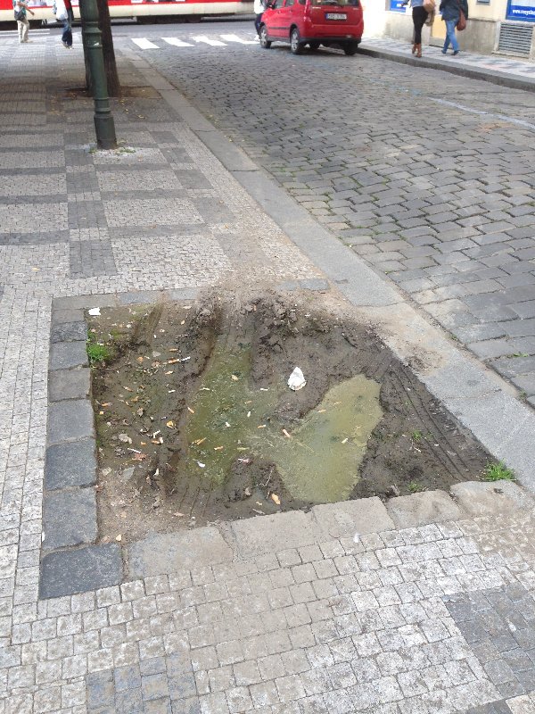 Bažina v Jeruzalémské