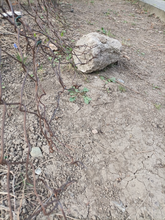 Dráty z plotu trčí na hřiště - Barrandov u kostela