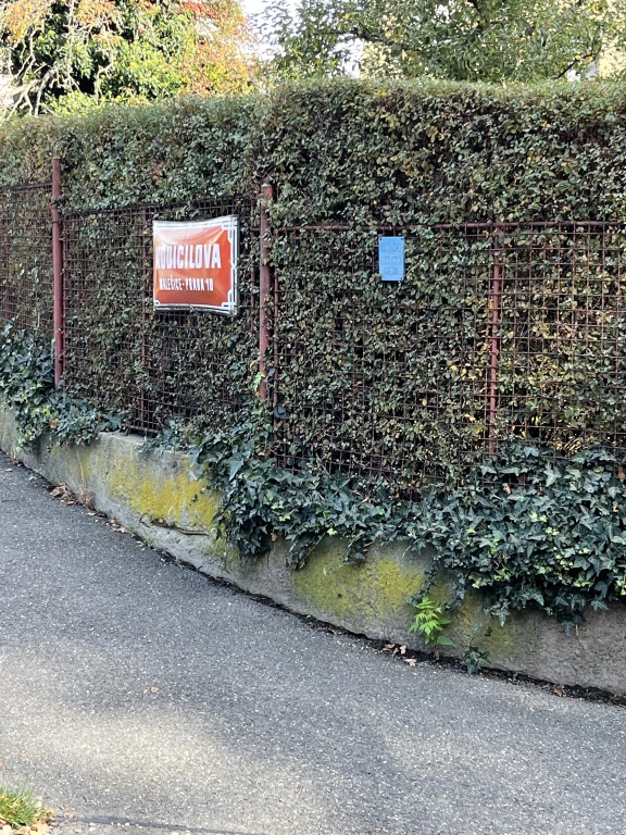 Díra v cestě 