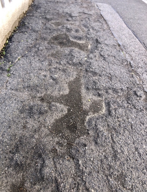 Vydlazdeni chodniku Raisovy ulice, Praha 6