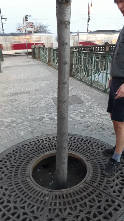 Nebezpečné propadliště u stromů před Slavií na Smetanově nábřeží