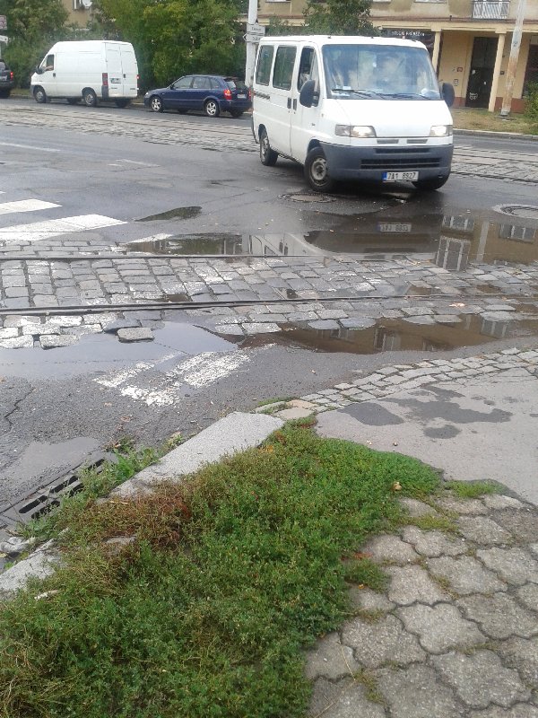 Zatopený přechod pro chodce a zarostlý chodník