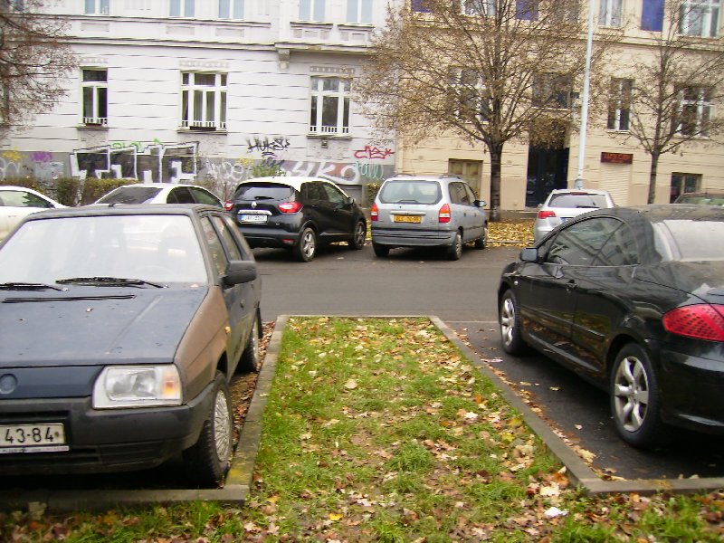 Chybějící strom - stromořadí mezi park. stáním u Herold. sadů