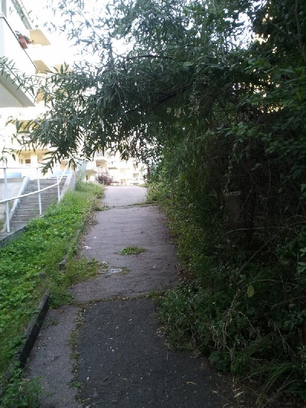 Zarůstající chodník spojující ulice Dolní Chaloupky a Hyacintovo